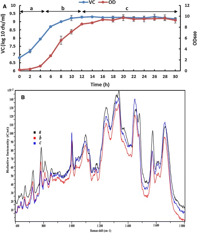 Fig. 1