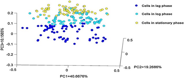 Fig. 2