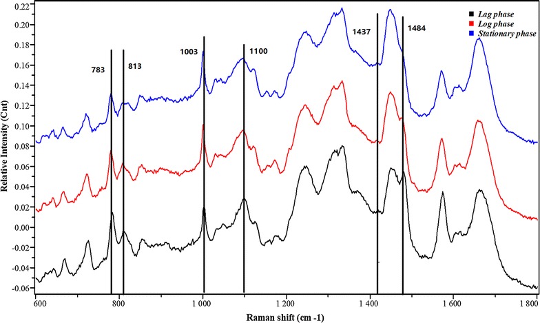 Fig. 4