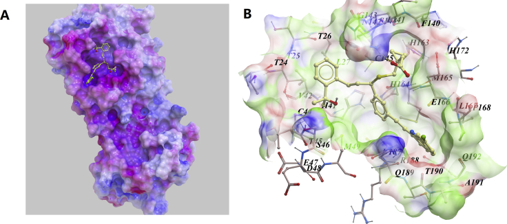 Figure 5