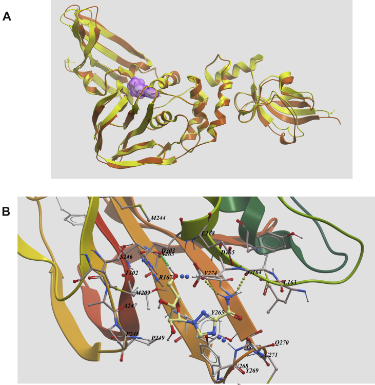 Figure 4