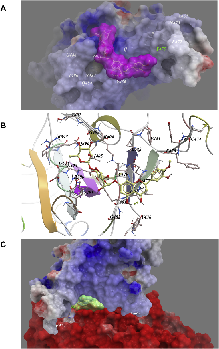 Figure 6