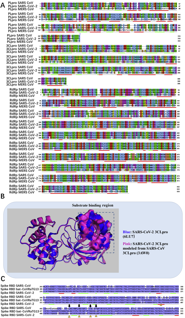 Figure 3