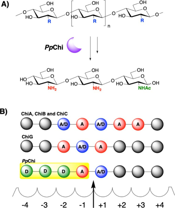 Scheme 2