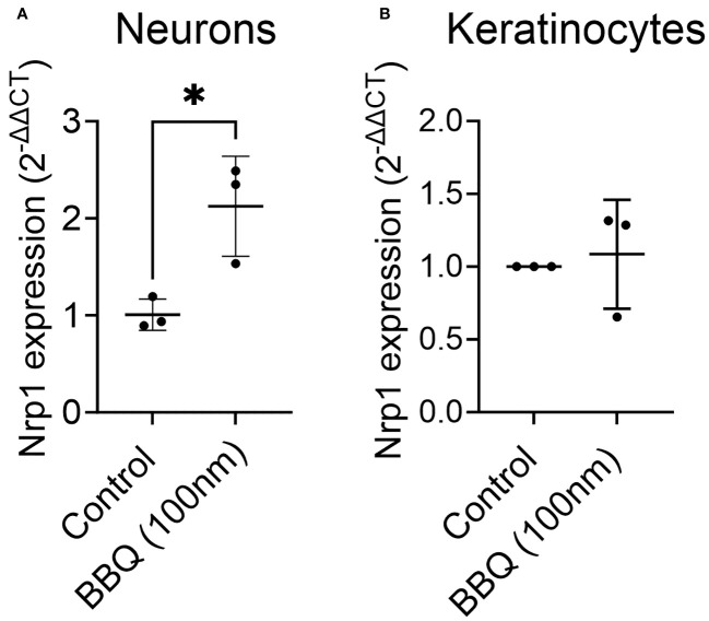 Figure 6