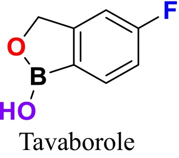 FIGURE 12