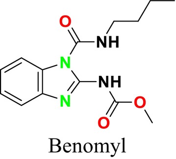 FIGURE 13