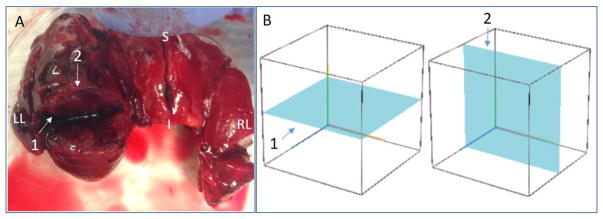 Fig. 3