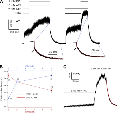 Figure 5.