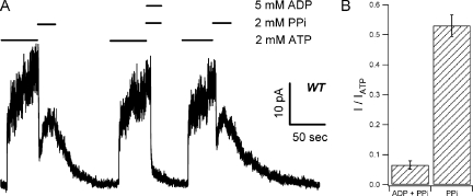 Figure 6.