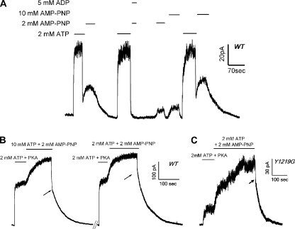 Figure 10.