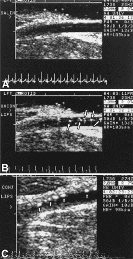 Figure 5