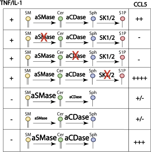 FIGURE 9.