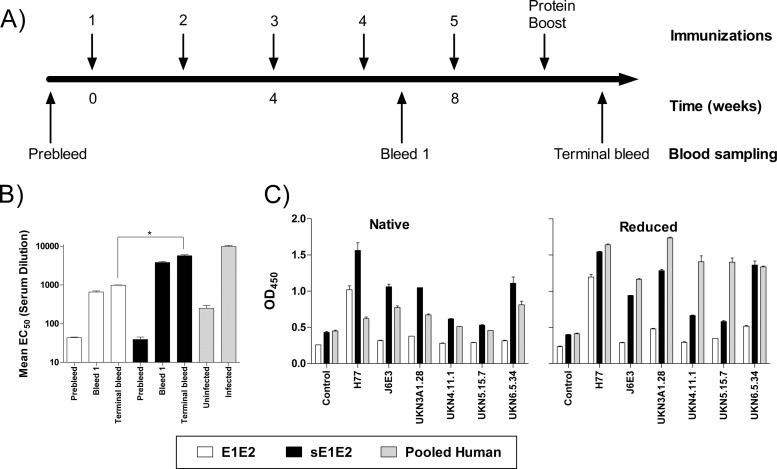 FIG 2