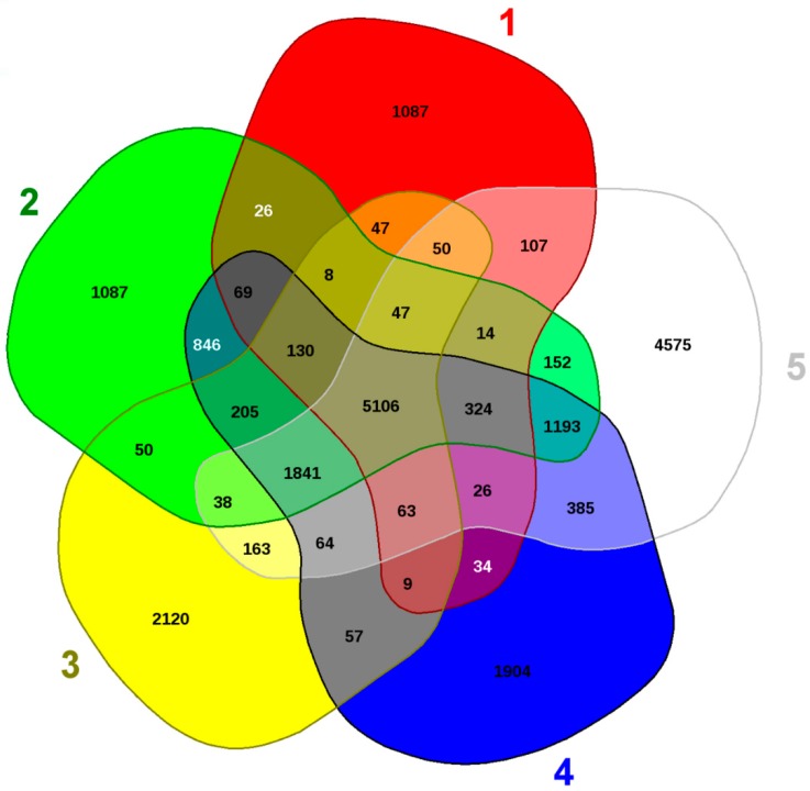 Figure 9