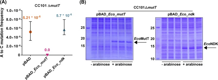 FIG 4