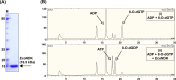 FIG 1