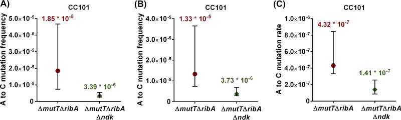 FIG 6