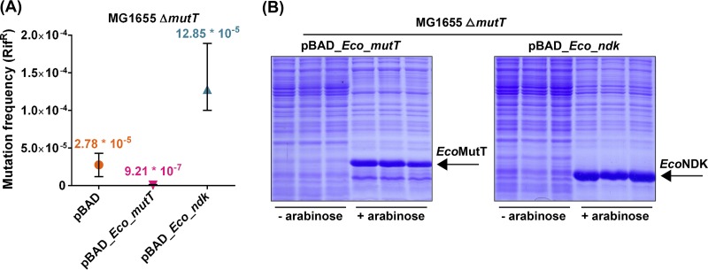 FIG 3