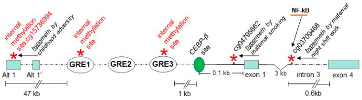 Figure 7