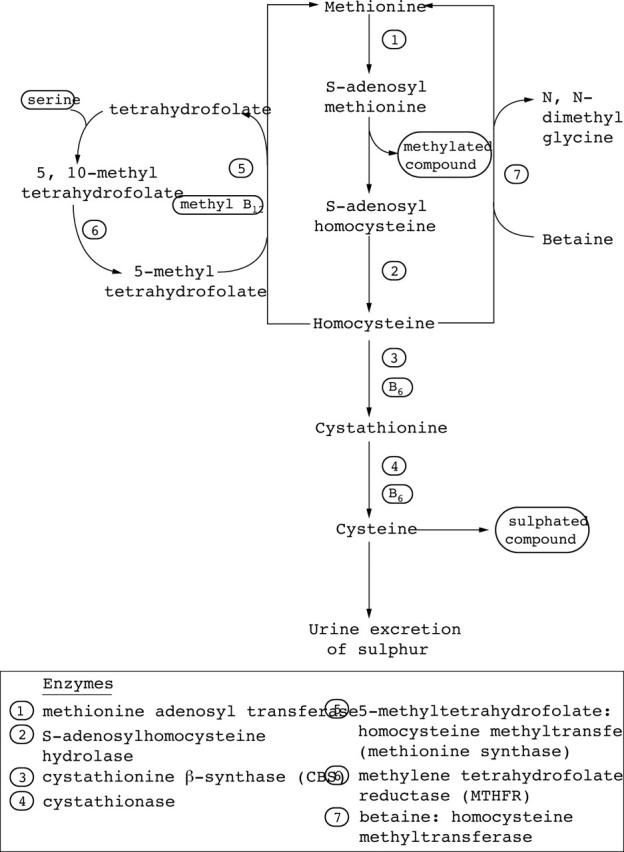 Figure 1  