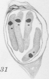 488-3