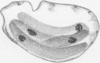 488-3