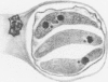 488-3