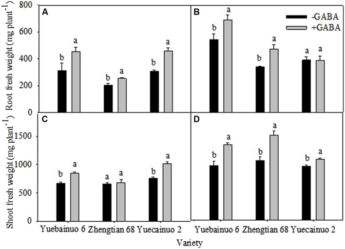 FIGURE 1