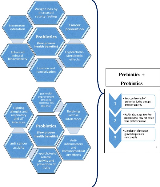 Graphical abstract