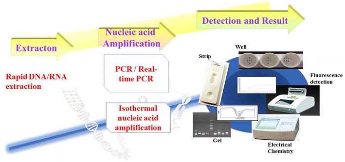 Figure 4