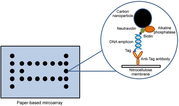 Figure 7