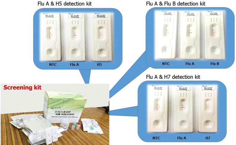 Figure 5