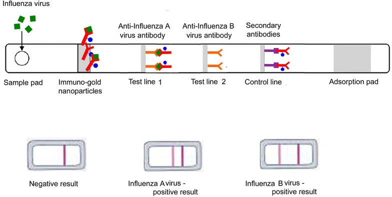 Figure 3