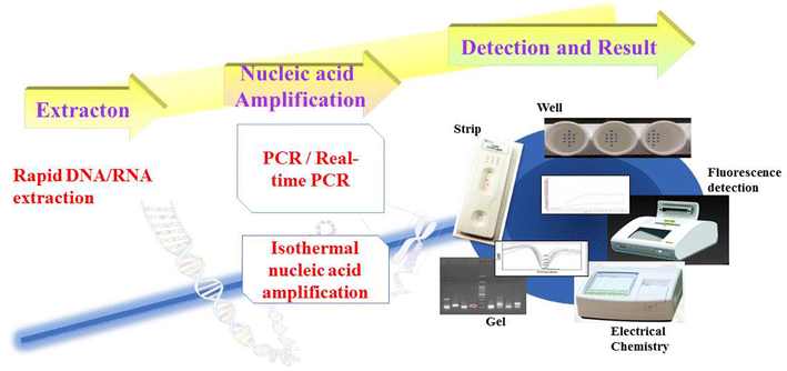 Figure 4