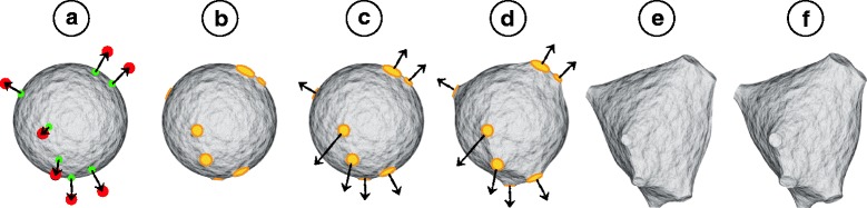 Fig. 2