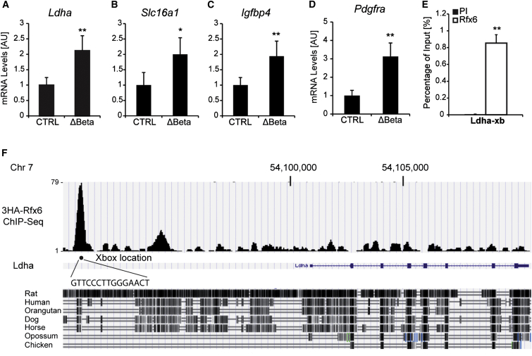 Figure 6