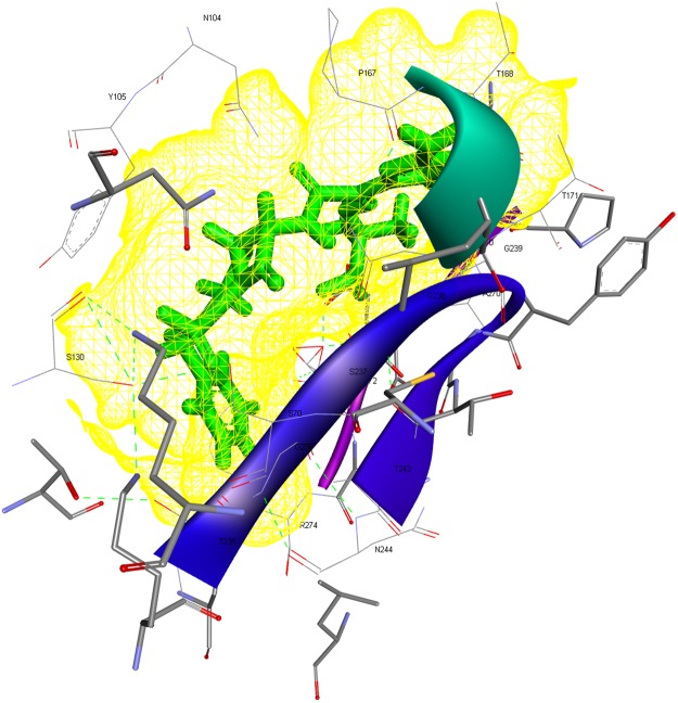 Figure 5