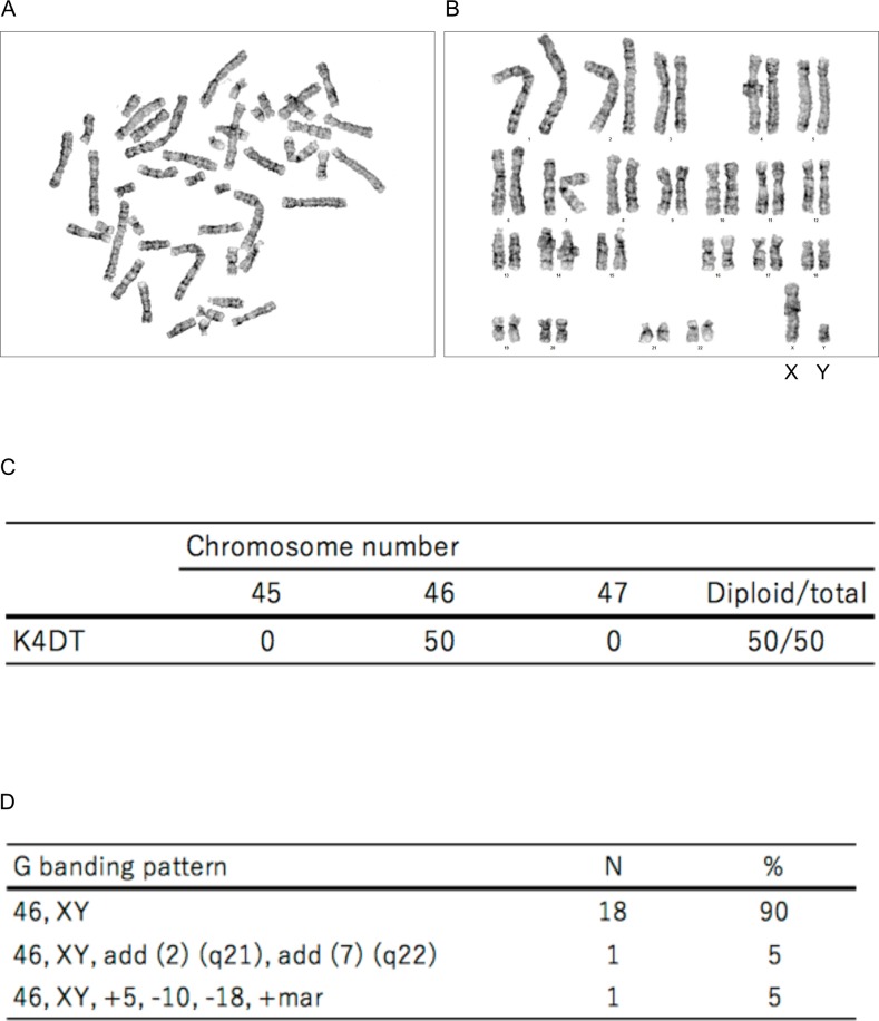 Fig 6