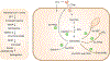 Fig. 2 |