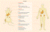 Fig. 3 |