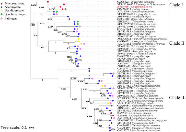 FIGURE 4