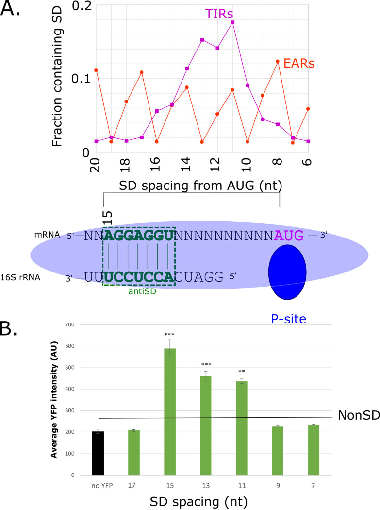 FIG 4