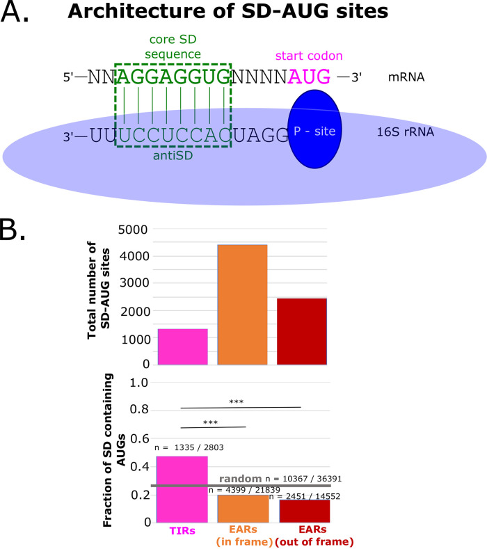 FIG 3