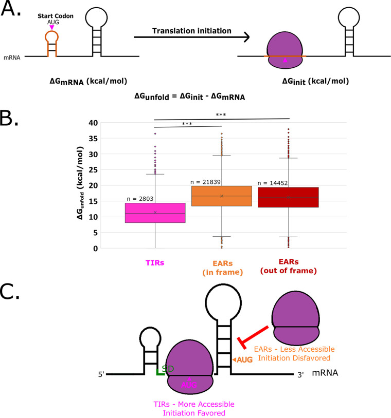 FIG 2