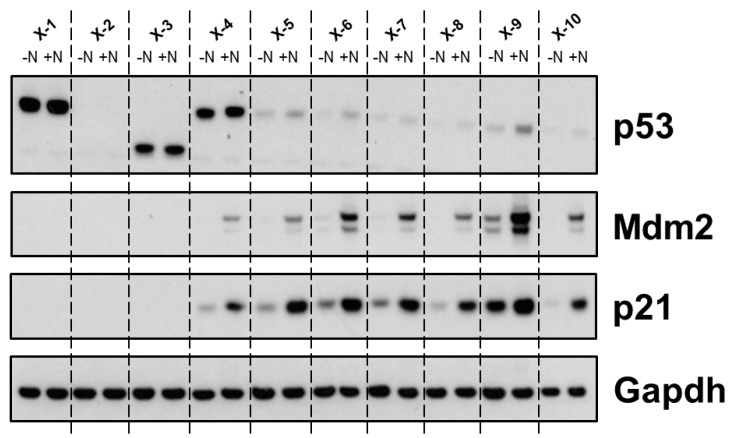 Figure 14