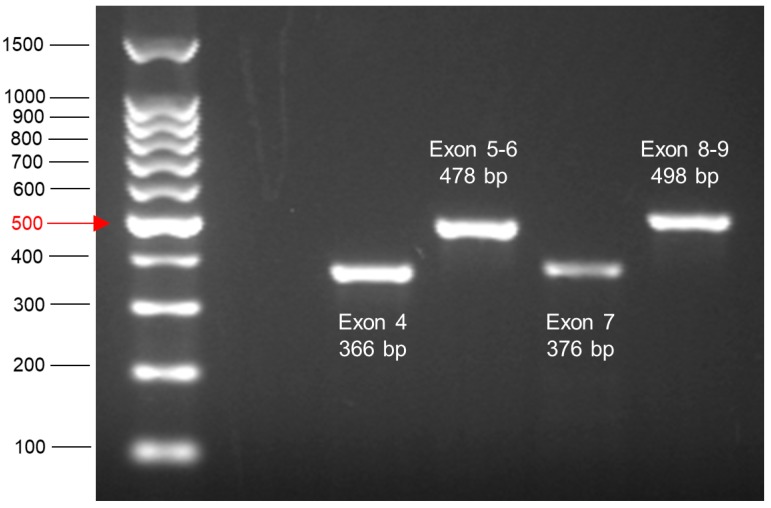 Figure 15