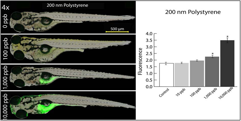 Figure 2: