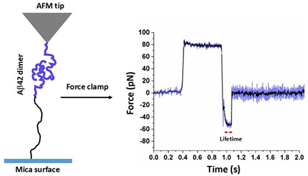 graphic file with name nihms-1035464-f0001.jpg