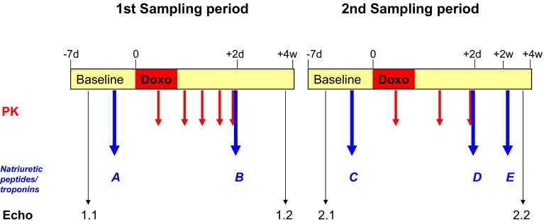 Fig. 1